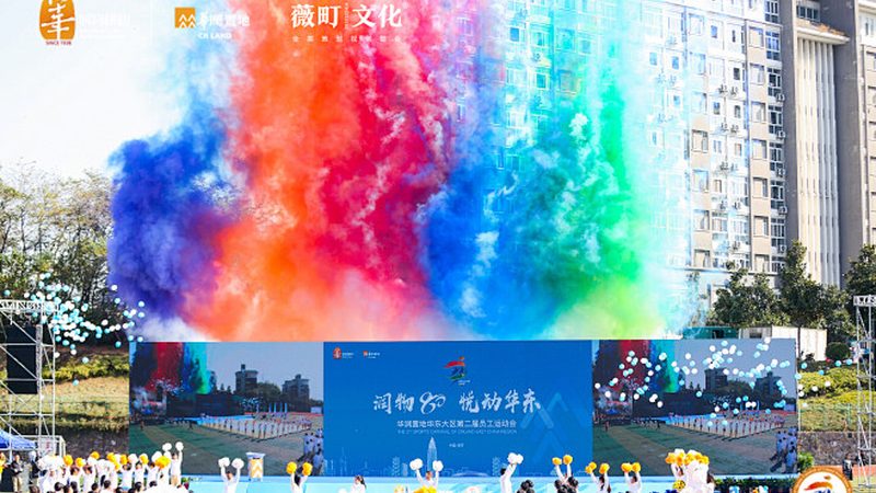 企业文化建设中的VI设计：揭秘其核心内容